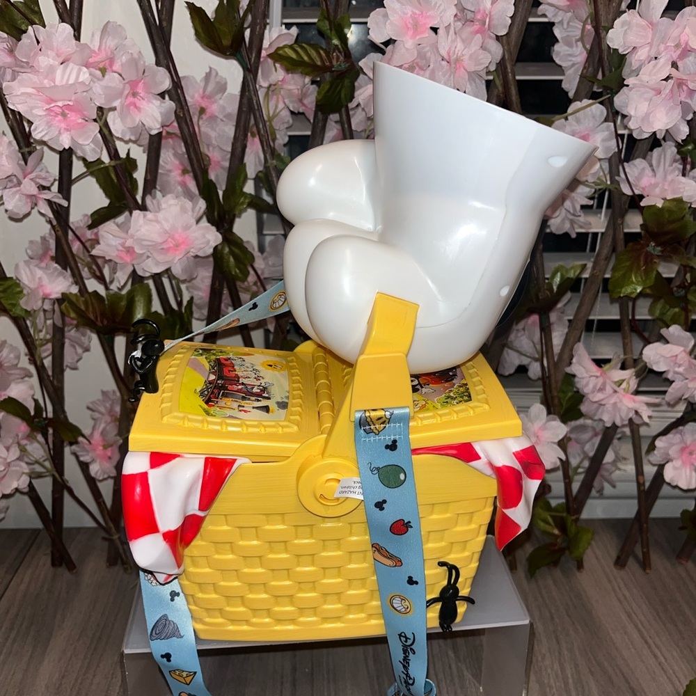 Disney parks popcorn bucket